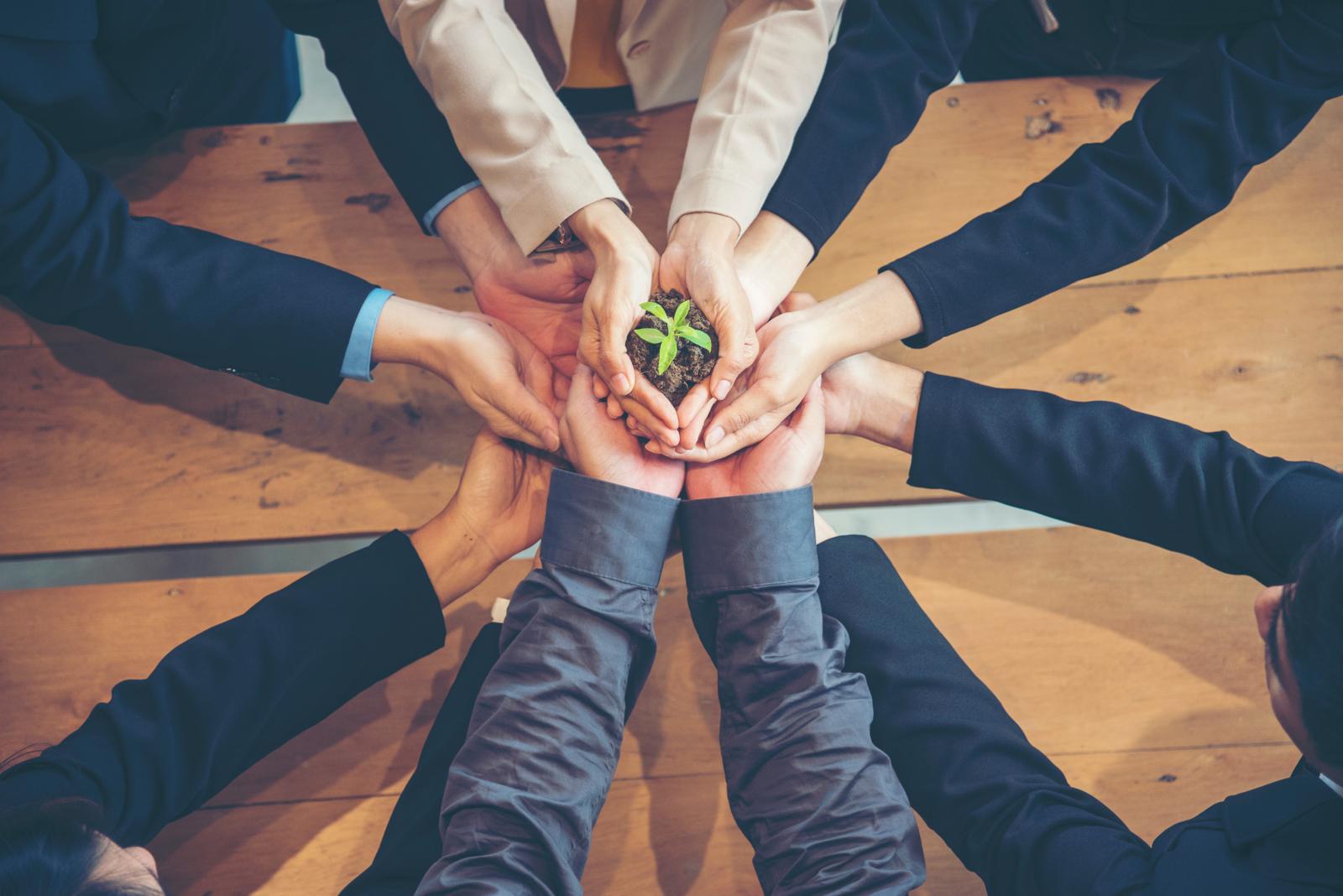 Management de transition renforcer ponctuellement une équipe