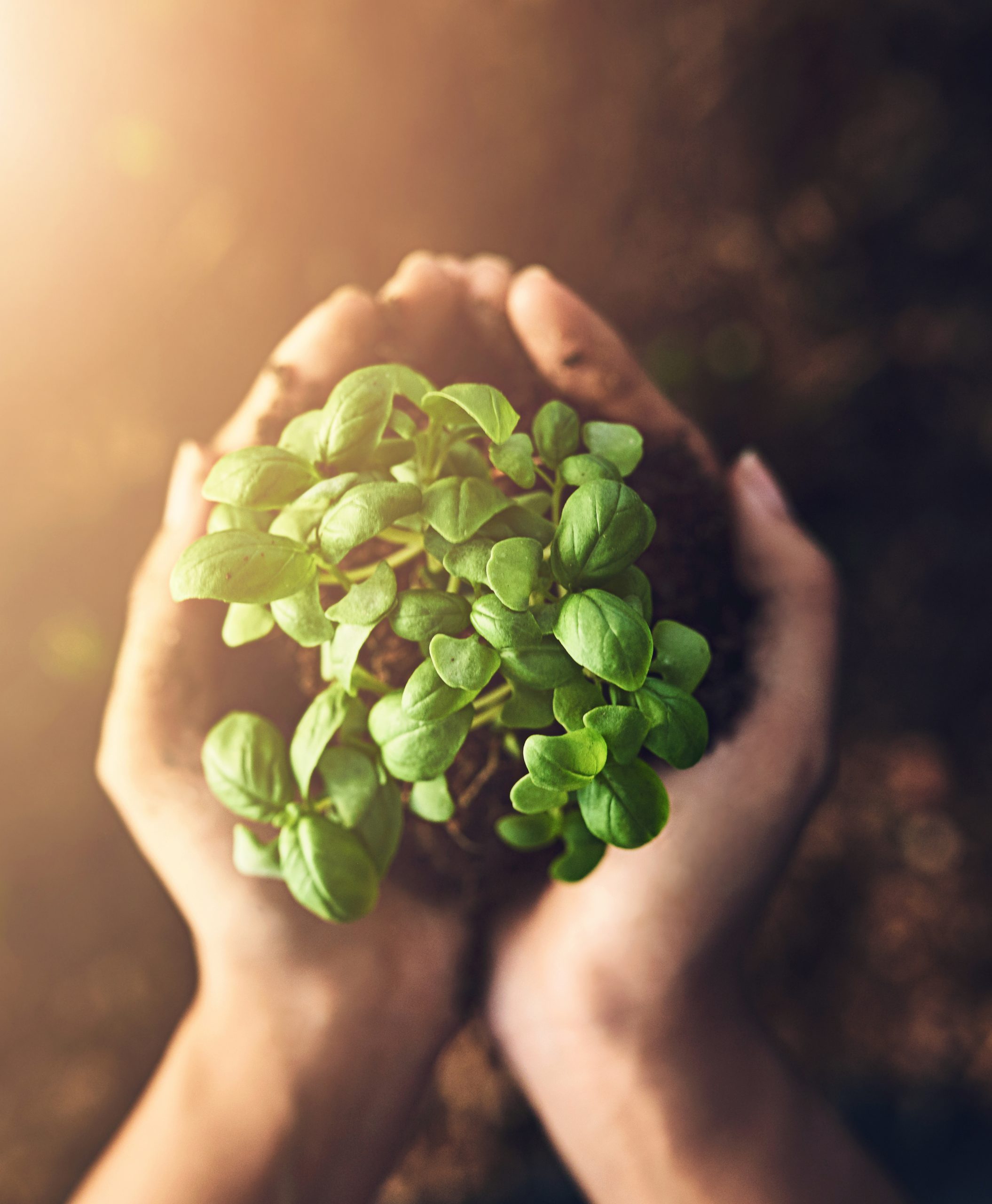 Mes engagements responsabilité sociale coaching