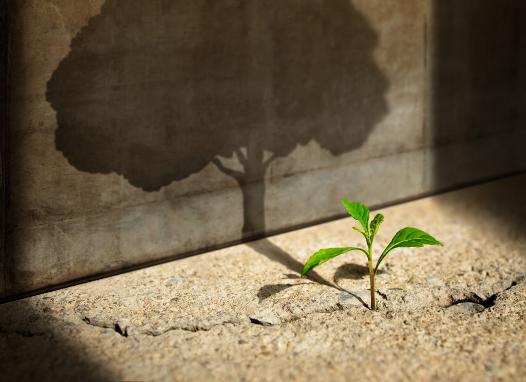 Leadership développement croissance professionnelle